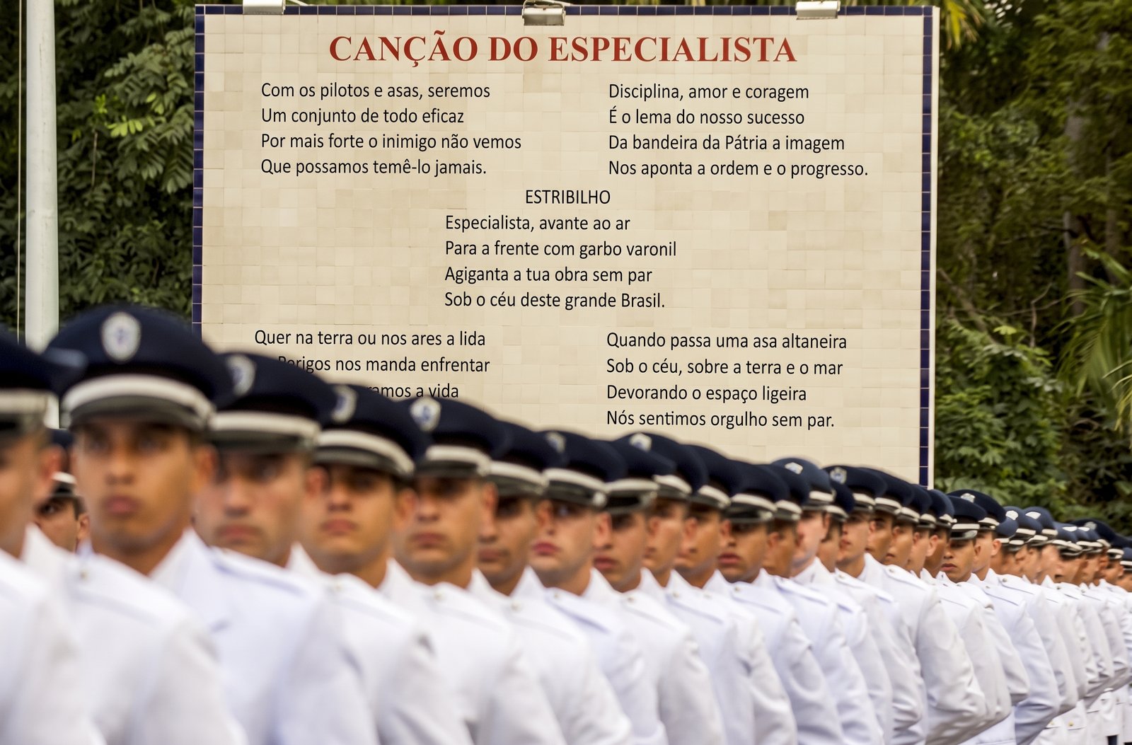 Canção do Especialista